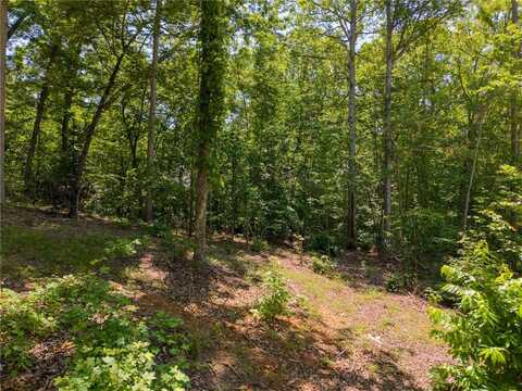 507 Viewpoint Court, Seneca, SC 29672