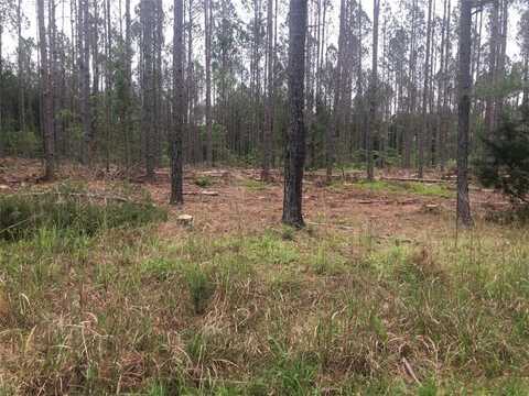 0 MIKE MCCONNELL Avenue, Iva, SC 29655