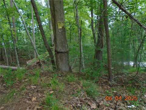 1000 E Cedar Creek Road Road, Sunset, SC 29685