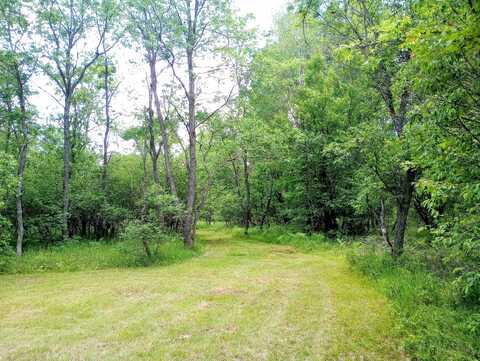 11858 Four Point Road, Fife Lake, MI 49633
