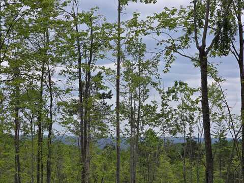 S MT Tom Road, Mio, MI 48647