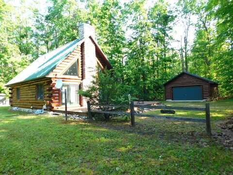 11809 Bear Track Trail, Frederic, MI 49733