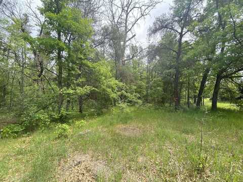 Stitt Lane, Mio, MI 48647