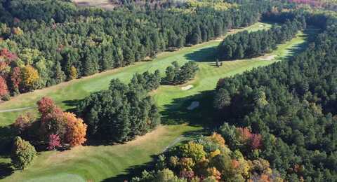 5783 Bent Tree Drive, Gaylord, MI 49735