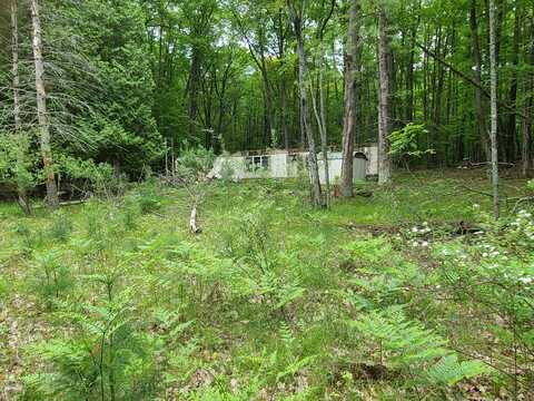 5072 E Holmes Road, Harrisville, MI 48740