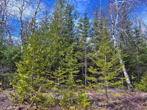 Lot 1 E Grand Lake Road, Presque Isle, MI 49777