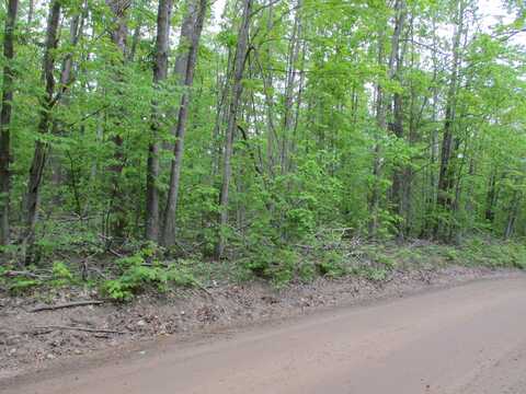 000 Lutz Road, Atlanta, MI 49709