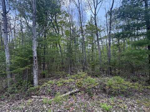 Lot 325 Fallen Timbers Drive, Presque Isle, MI 49777