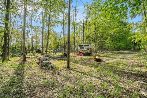 10222 W Munro Lake Drive, Levering, MI 49755