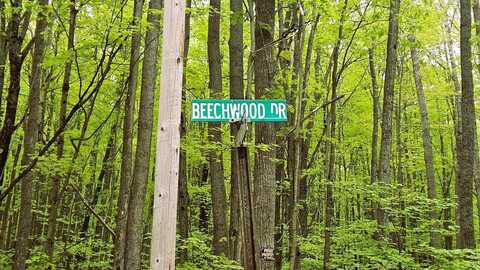 322-328 Beechwood Drive, Roscommon, MI 48653