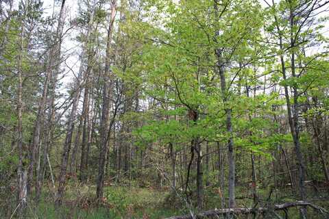 Lot #7 Hughes Lake Road, Rose City, MI 48654