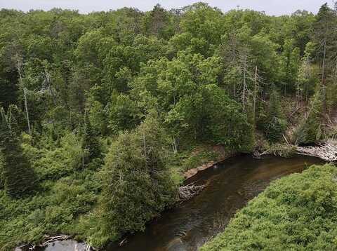 Wilson Road, Indian River, MI 49749