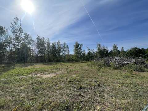 107 Paradise Drive, Gaylord, MI 49735