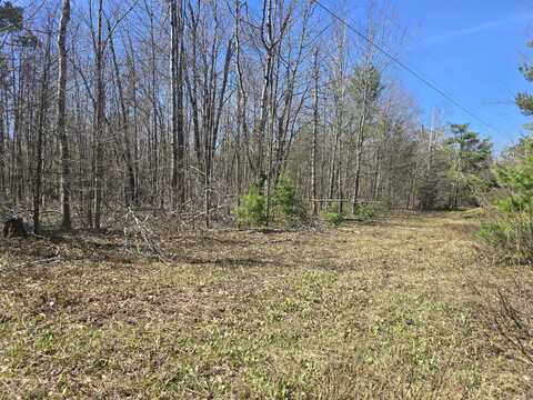 Iroquois Trail, Gaylord, MI 49735