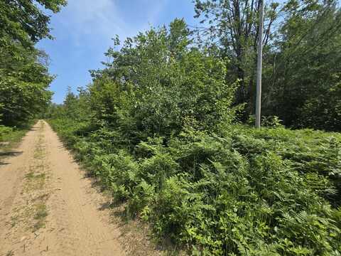 Iroquois Trail, Gaylord, MI 49735