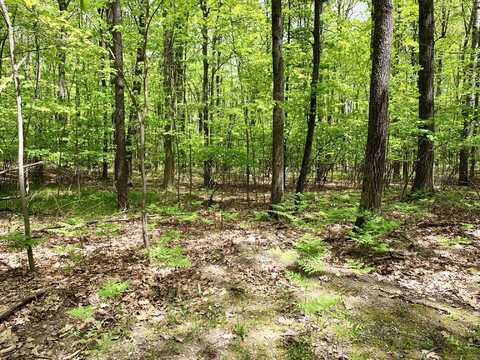 Lots 1-8 Adams/Roosevelt Boulevard, Roscommon, MI 48653