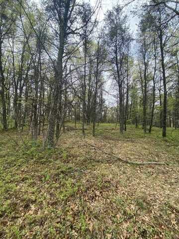 Lots 5 & 6 Maple Ridge Road, Mio, MI 48647