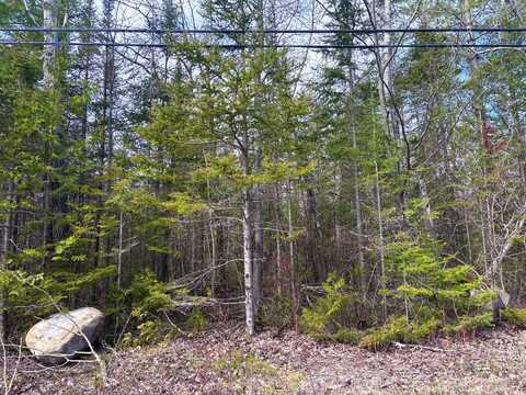 E Grand Lake Road, Presque Isle, MI 49777