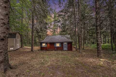 8110 Nature Ridge Trail, Vanderbilt, MI 49795