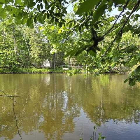 Martin Road, Alpena, MI 49707