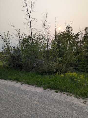 Lot 8 N E Street, Cheboygan, MI 49721