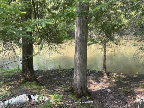 24920 E Riverside Drive, Hillman, MI 49746