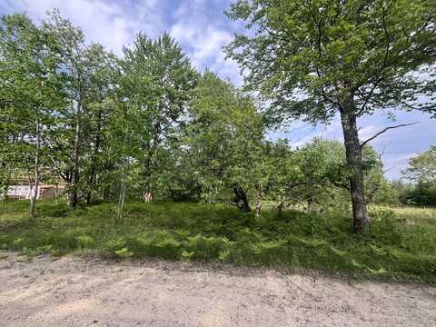 Lot 1009 Wrenwood Drive, Mancelona, MI 49659