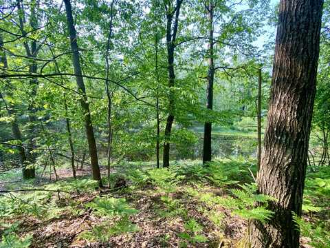 1086,1087 Michaywe Drive, Gaylord, MI 49735