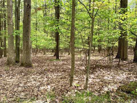 Lots 10-15 Adams/Roosevelt Boulevard, Roscommon, MI 48653