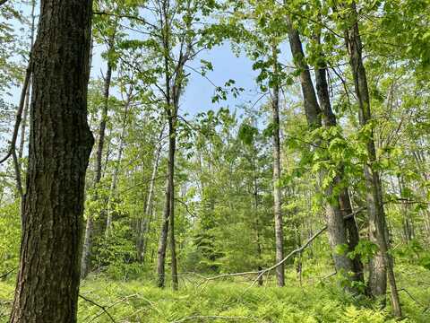 Lot 1827 Sandpiper Trail, Gaylord, MI 49735