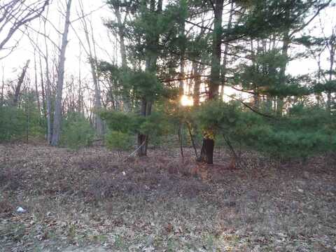 Xxx Indian Oaks Lot 2, Prudenville, MI 48651