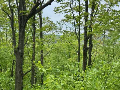 568 Alexander Road, Vanderbilt, MI 49795