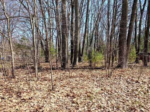 Lots 55-56 E Houghton Lake Drive, Houghton Lake, MI 48629