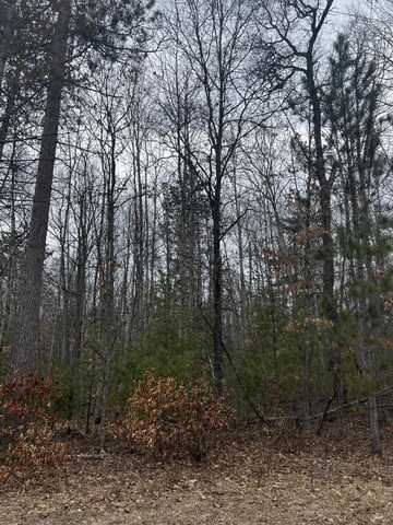 N St Helen Road, Roscommon, MI 48653