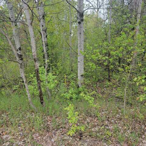 Lot #42 E ROBERTA Drive, Roscommon, MI 48653