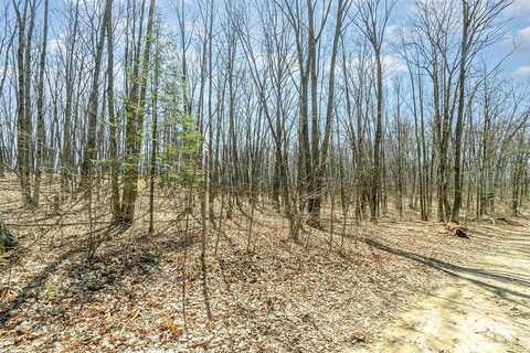 Nancy Ann Drive, Gladwin, MI 48624