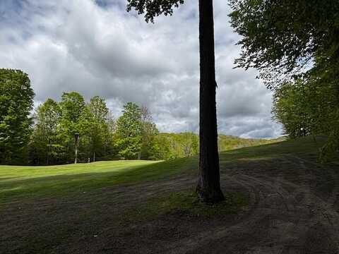Unit 24 Forest Trail, Bellaire, MI 49615