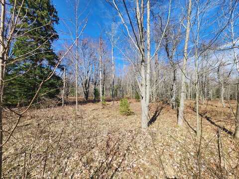 Lot 1829 Sandpiper Trail, Gaylord, MI 49735