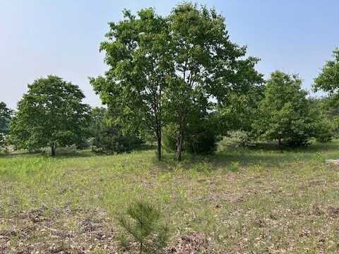 Thiem Road, Herron, MI 49744