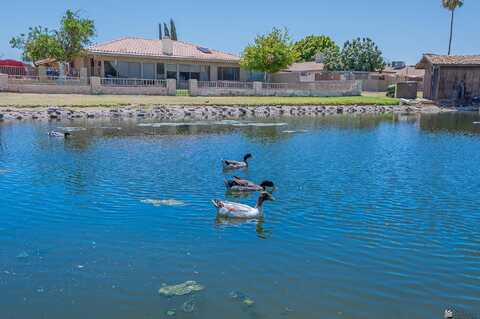 1931 PARIS CT, Yuma, AZ 85364