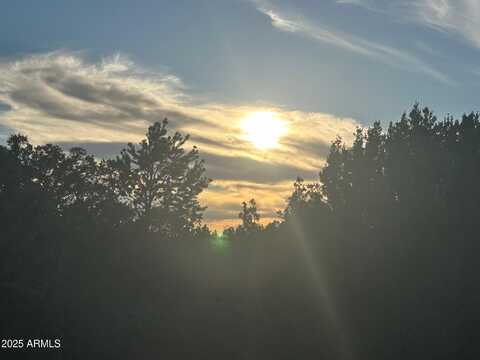 Lot 33 Ridgeview Lane, Vernon, AZ 85940
