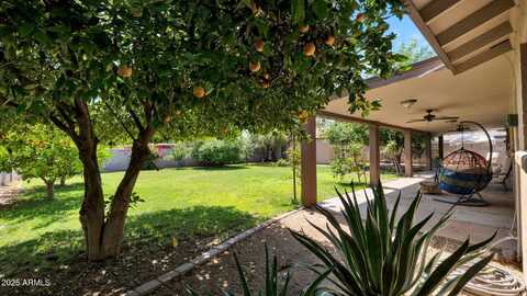 11011 N 39th Street, Phoenix, AZ 85028