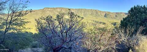 132 N Knob Hill --, Pine, AZ 85544