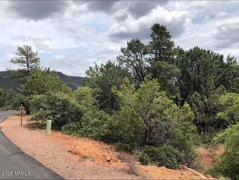 9 Lodgepole Circle, Pine, AZ 85544