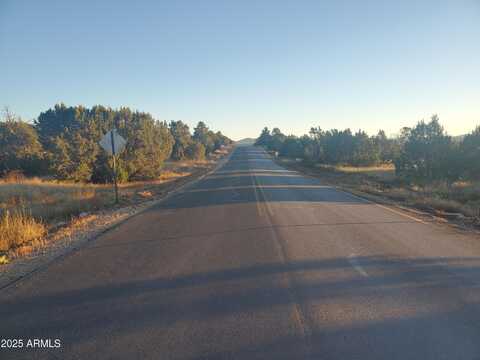 1 COUNTY ROAD N8155 --, Concho, AZ 85924