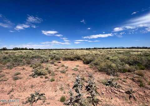 238 E CORONADO Drive, Williams, AZ 86046