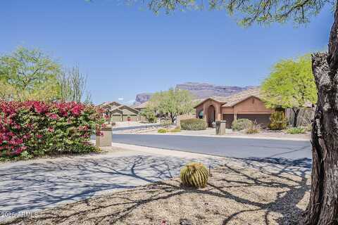 4293 S COLUMBINE Way, Gold Canyon, AZ 85118