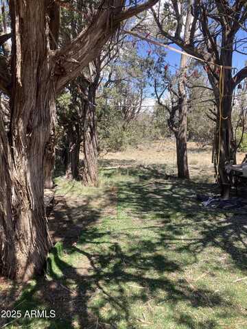 00 Off of Rainy RD --, Ash Fork, AZ 86320