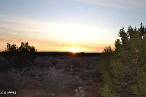 Lot 020b E 24th N Street, Snowflake, AZ 85937
