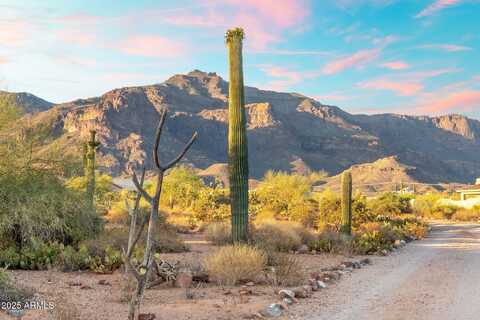 10631 E CACTUS VIEW, Gold Canyon, AZ 85118